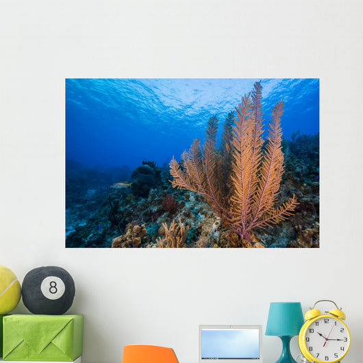 Reefscape Grand Cayman Cayman Horizontal Wall Decal