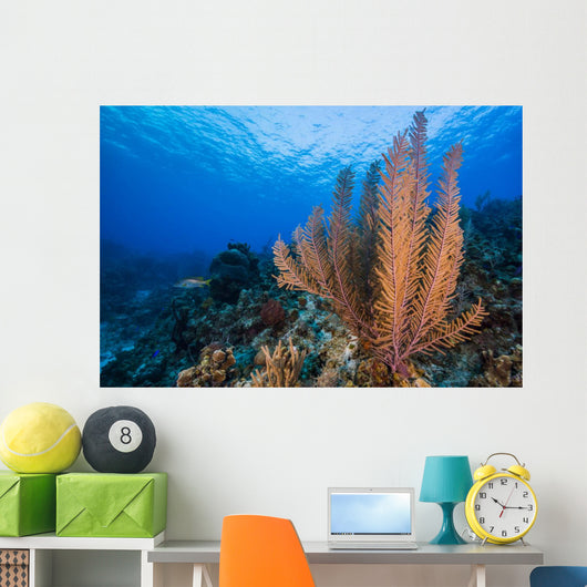 Reefscape Grand Cayman Cayman Horizontal Wall Decal