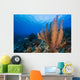 Reefscape Grand Cayman Cayman Horizontal Wall Decal