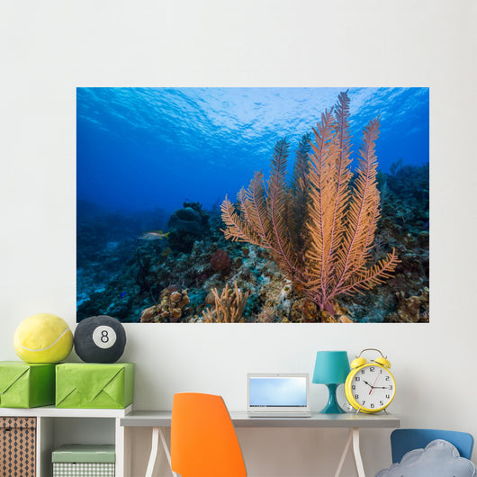 Reefscape Grand Cayman Cayman Horizontal Wall Decal