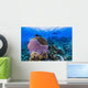 Reefscape Grand Cayman Cayman Diver Wall Decal