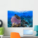Reefscape Grand Cayman Cayman Diver Wall Decal