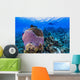 Reefscape Grand Cayman Cayman Diver Wall Decal
