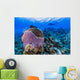 Reefscape Grand Cayman Cayman Diver Wall Decal
