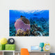 Reefscape Grand Cayman Cayman Diver Wall Decal