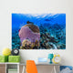 Reefscape Grand Cayman Cayman Diver Wall Decal