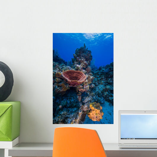 Reefscape Grand Cayman Cayman Vertical Wall Decal