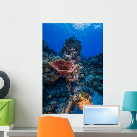 Reefscape Grand Cayman Cayman Vertical Wall Decal