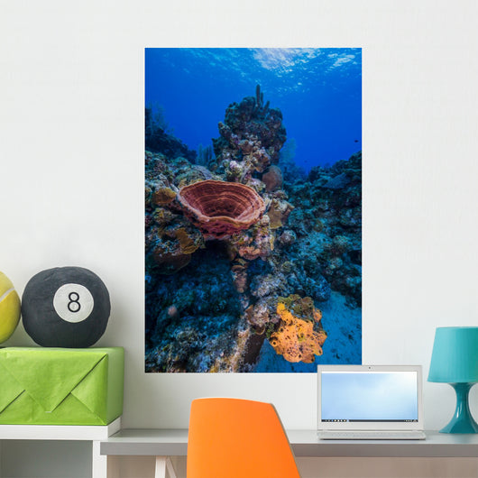 Reefscape Grand Cayman Cayman Vertical Wall Decal
