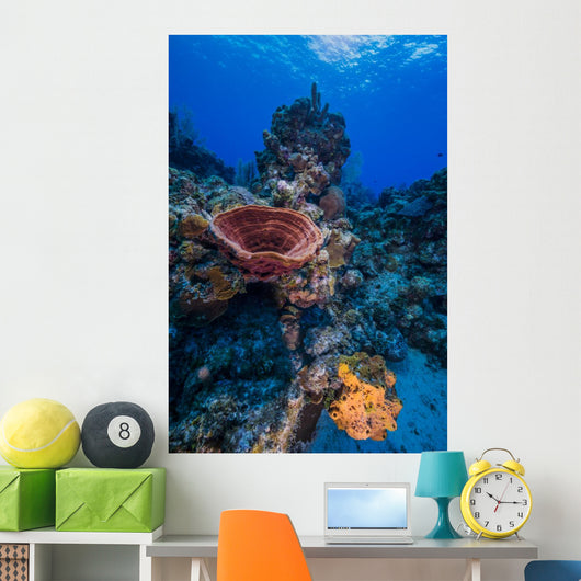 Reefscape Grand Cayman Cayman Vertical Wall Decal