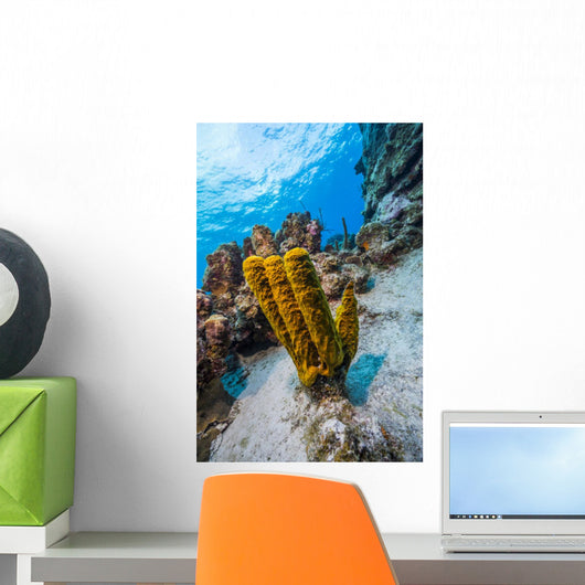 Reefscape Grand Cayman Cayman Wall Decal
