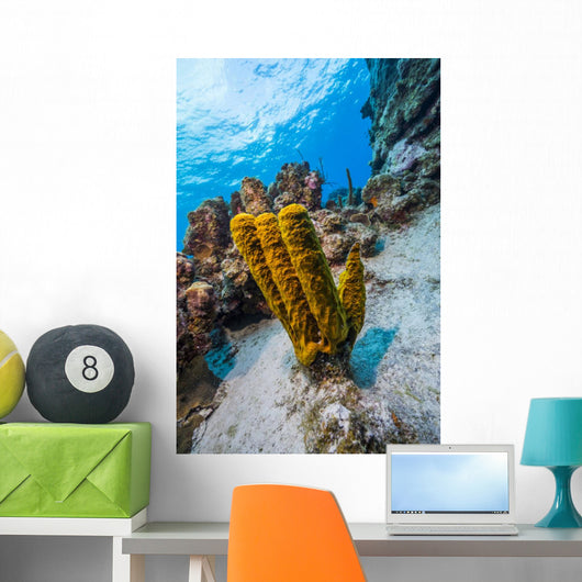 Reefscape Grand Cayman Cayman Wall Decal