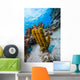 Reefscape Grand Cayman Cayman Wall Decal