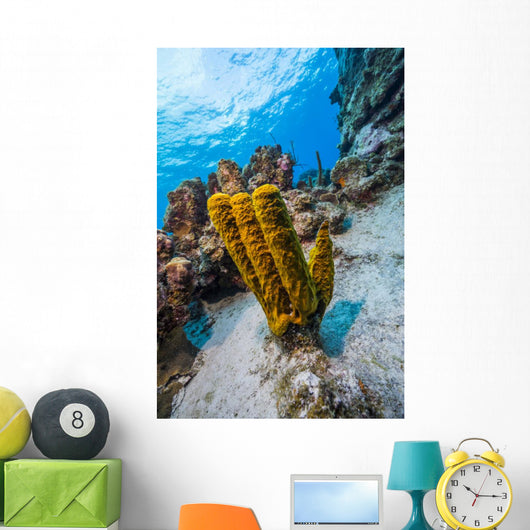 Reefscape Grand Cayman Cayman Wall Decal