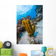 Reefscape Grand Cayman Cayman Wall Decal
