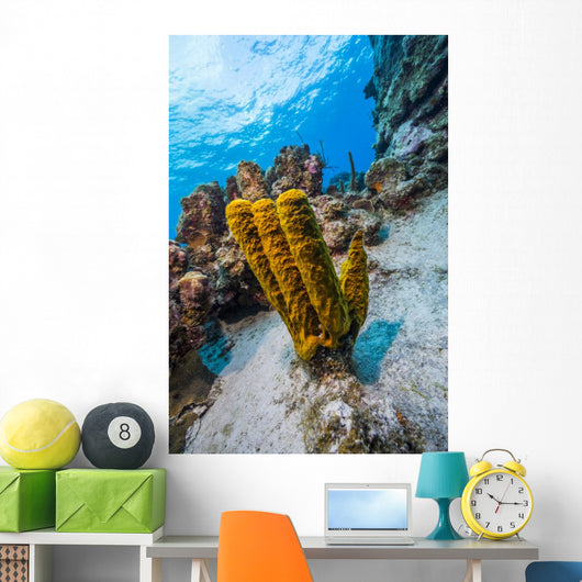 Reefscape Grand Cayman Cayman Wall Decal