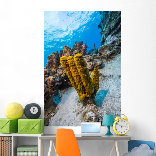 Reefscape Grand Cayman Cayman Wall Decal