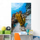 Reefscape Grand Cayman Cayman Wall Decal