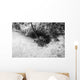 Spiny Lobster Hiding Hole Wall Decal