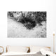 Spiny Lobster Hiding Hole Wall Decal