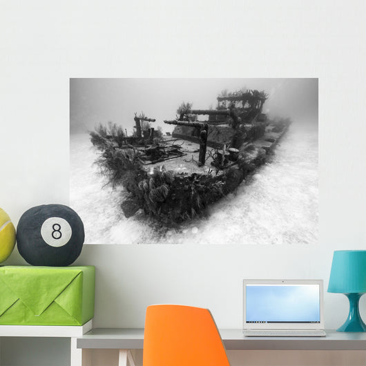 Doc Polson Shipwreck Grand Greyscale Wall Decal