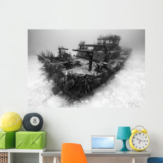 Doc Polson Shipwreck Grand Greyscale Wall Decal
