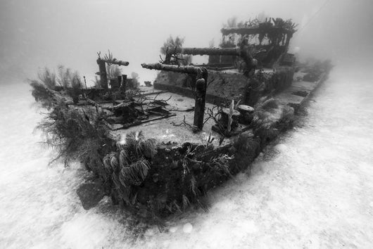 Doc Polson Shipwreck Grand Greyscale Wall Decal