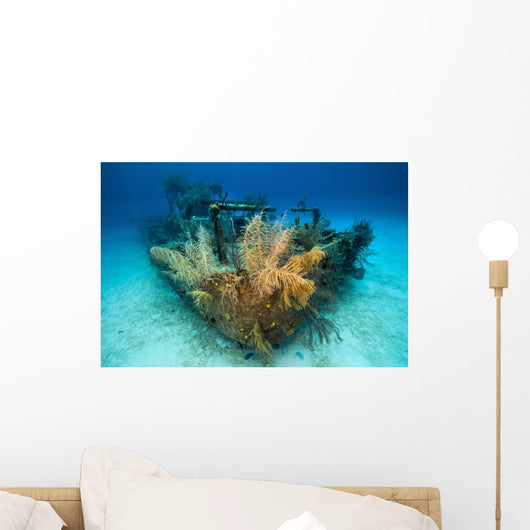 Doc Polson Shipwreck Grand Wall Decal