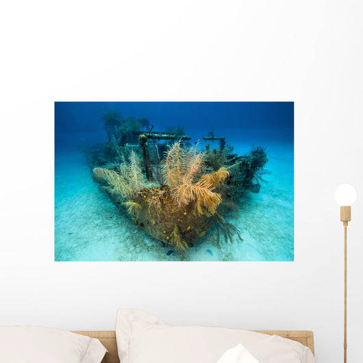 Doc Polson Shipwreck Grand Wall Decal
