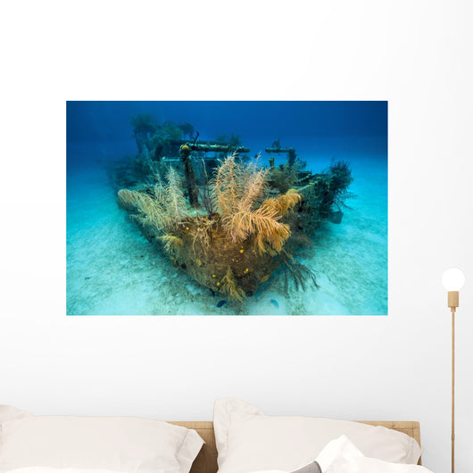 Doc Polson Shipwreck Grand Wall Decal