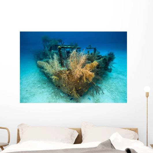 Doc Polson Shipwreck Grand Wall Decal