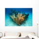 Doc Polson Shipwreck Grand Wall Decal