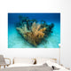Doc Polson Shipwreck Grand Wall Decal