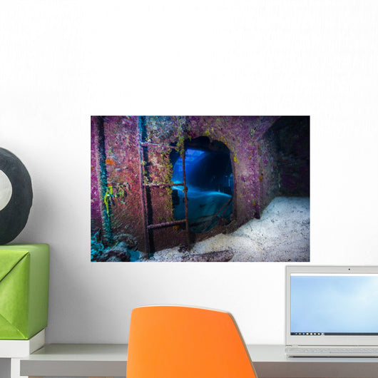 Interior Doc Polson Shipwreck Wall Decal