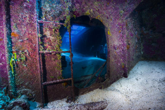 Interior Doc Polson Shipwreck Wall Decal