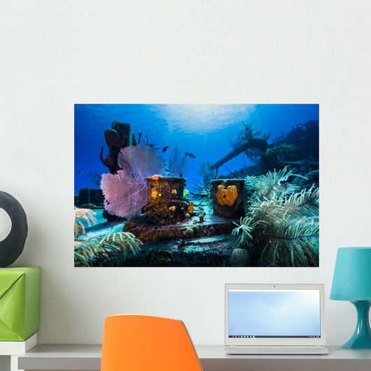 Reef Life Growing Doc Wall Decal