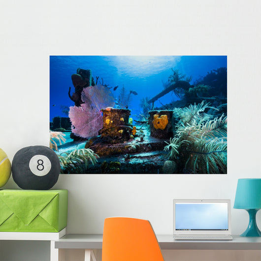 Reef Life Growing Doc Wall Decal