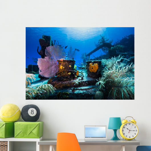 Reef Life Growing Doc Wall Decal
