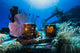Reef Life Growing Doc Wall Decal