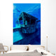 Freediver Descends to Uss Wall Decal