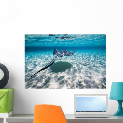 Southern Stingrays Sandbar Swimming Wall Decal shown on a wall