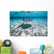 Southern Stingrays Sandbar Swimming Wall Decal