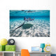Southern Stingrays Sandbar Swimming Wall Decal