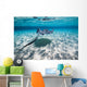 Southern Stingrays Sandbar Swimming Wall Decal