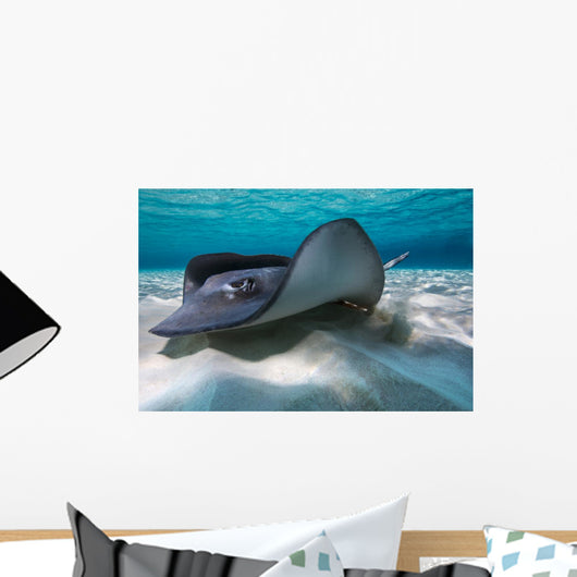 Southern Stingrays Sandbar Left Side Wall Decal