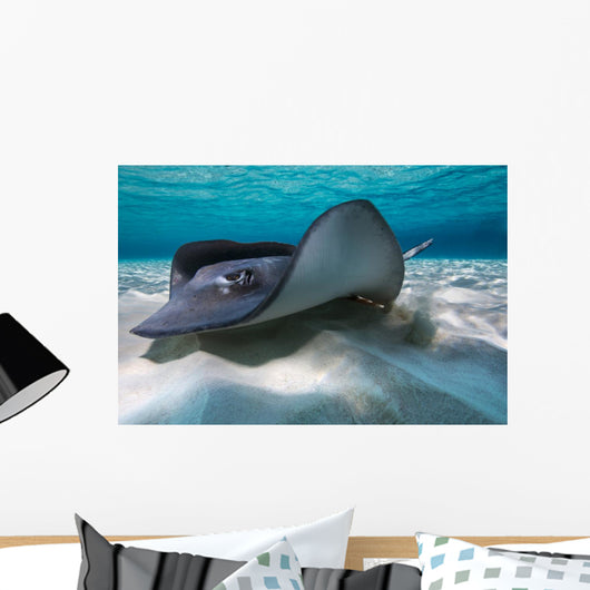 Southern Stingrays Sandbar Left Side Wall Decal
