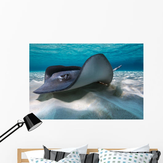 Southern Stingrays Sandbar Left Side Wall Decal
