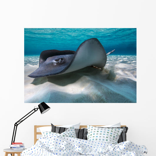 Southern Stingrays Sandbar Left Side Wall Decal