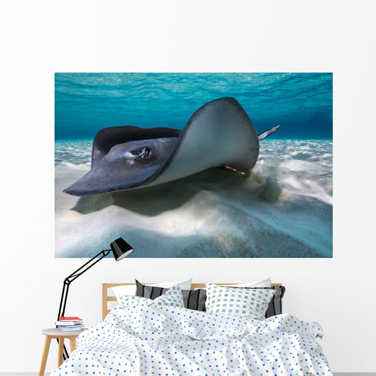 Southern Stingrays Sandbar Left Side Wall Decal