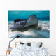 Southern Stingrays Sandbar Left Side Wall Decal